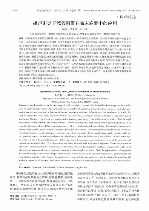 超声引导下骶管阻滞在临床麻醉中的应用