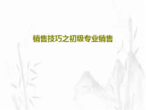 销售技巧之初级专业销售共49页文档