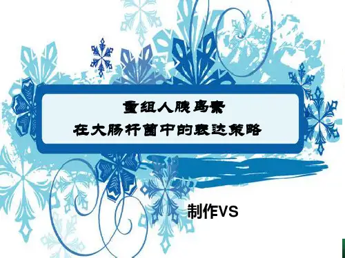 重组人胰岛素在大肠杆菌中的表达策略PPT教学课件