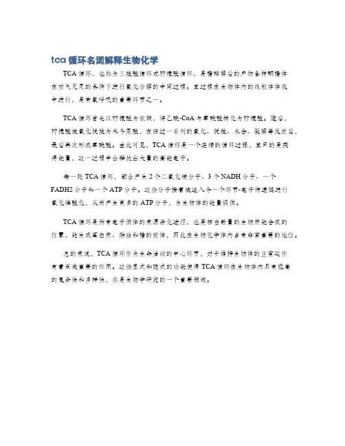tca循环名词解释生物化学