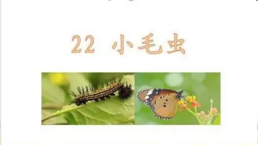 二年级下册语文课件 《小毛虫》 (PPT)人教部编版