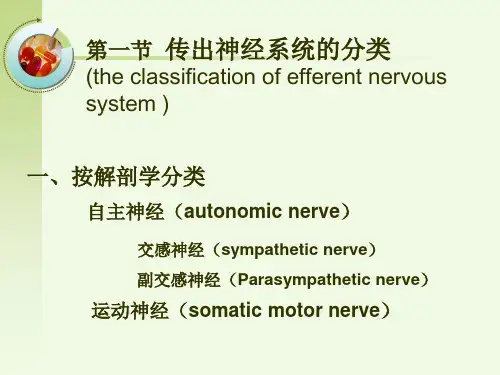 传出神经系统药理学概论概述