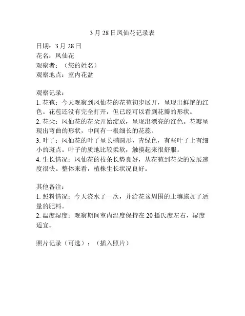 3月28日凤仙花记录表