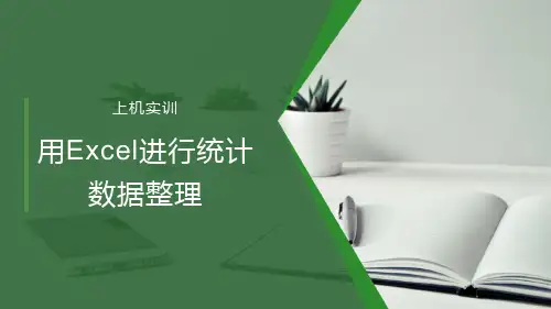 Excel统计数据整理上机实训