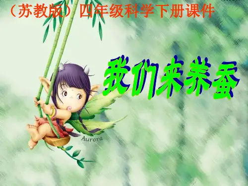 四年级下册科学课件-2.1 我们来养蚕 (1)｜苏教版 (共15张PPT)