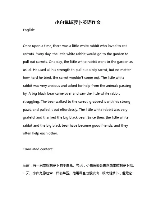 小白兔拔萝卜英语作文