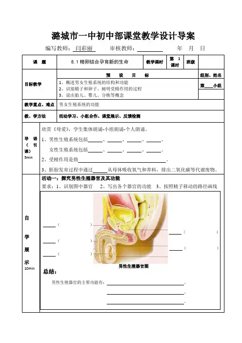 苏教版-生物-七年级下册8.1精卵结合孕育新的生命学案