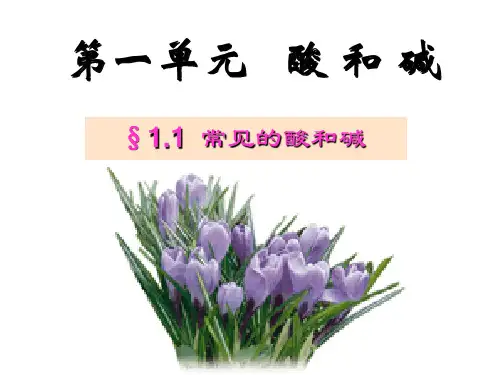 常见酸碱指示剂