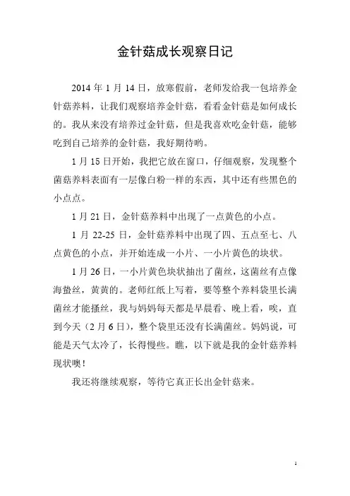 金针菇成长观察日记