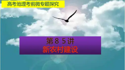 高考地理考前微专题探究——新农村建设(37张PPT)
