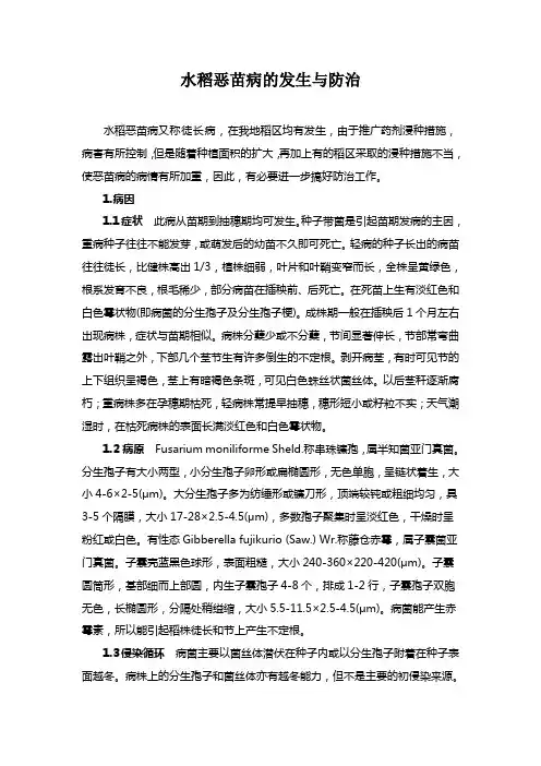 水稻恶苗病的发生与防治