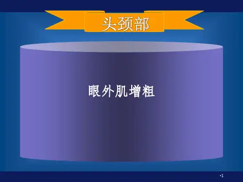 第三讲-眼外肌增粗PPT课件