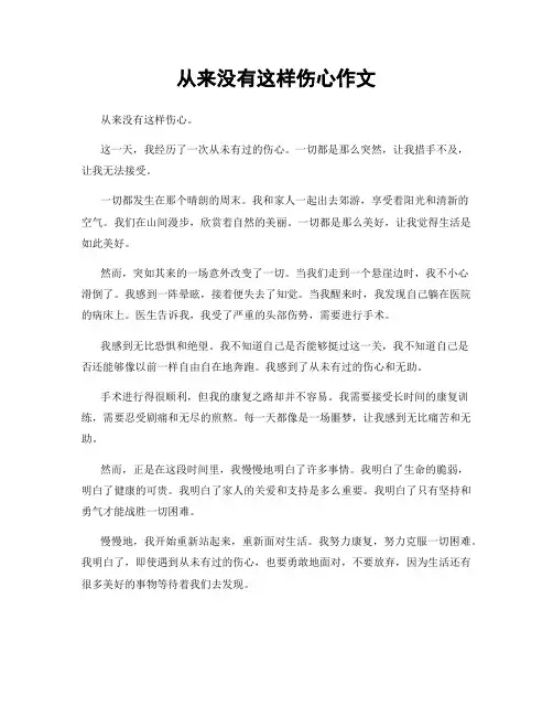从来没有这样伤心作文