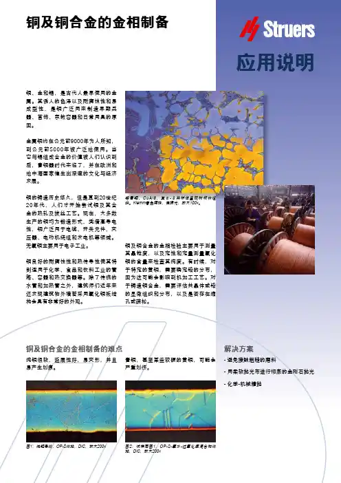 铜及铜合金的金相制备