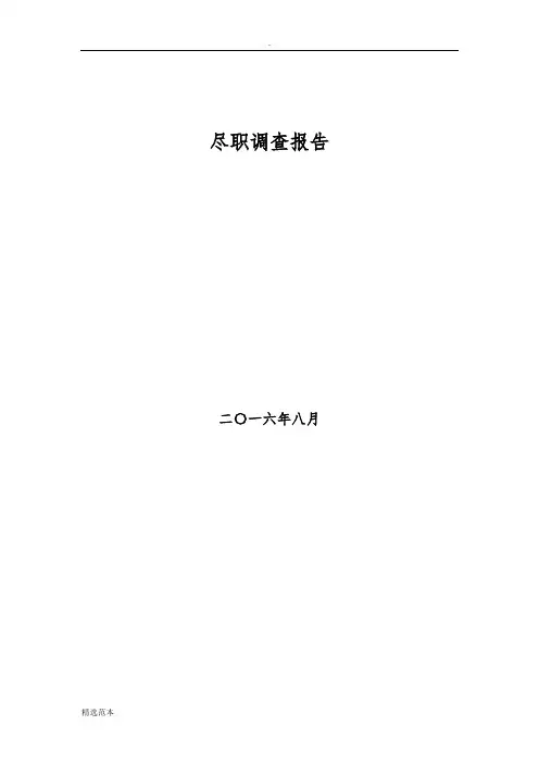 保理尽调报告