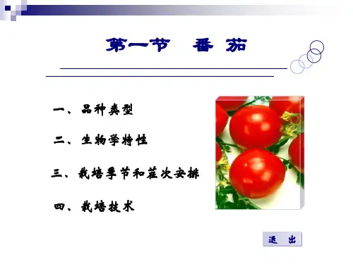 《蔬菜栽培番茄》PPT课件