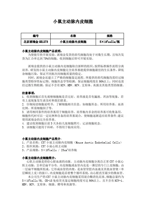 小鼠主动脉内皮细胞使用说明
