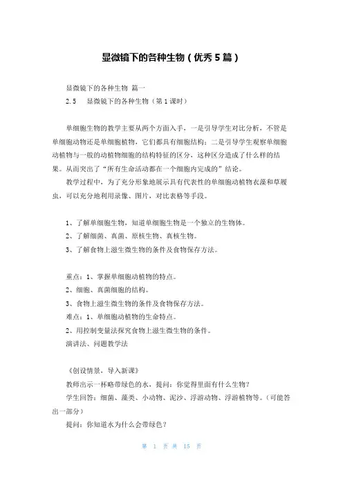 显微镜下的各种生物(优秀5篇)