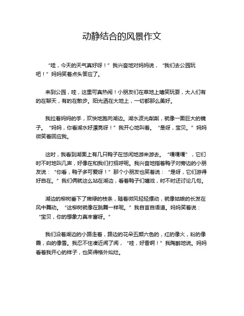 动静结合的风景作文
