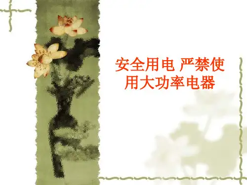 安全用电严禁使用大功率电器演示文稿