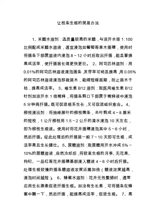 让枝条生根的简易办法