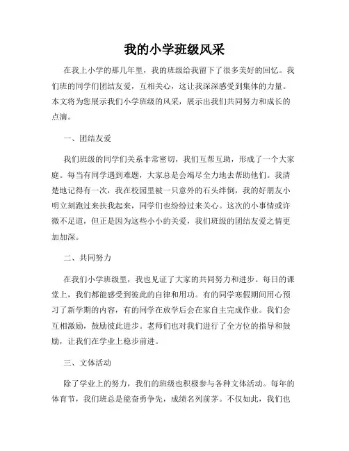我的小学班级风采