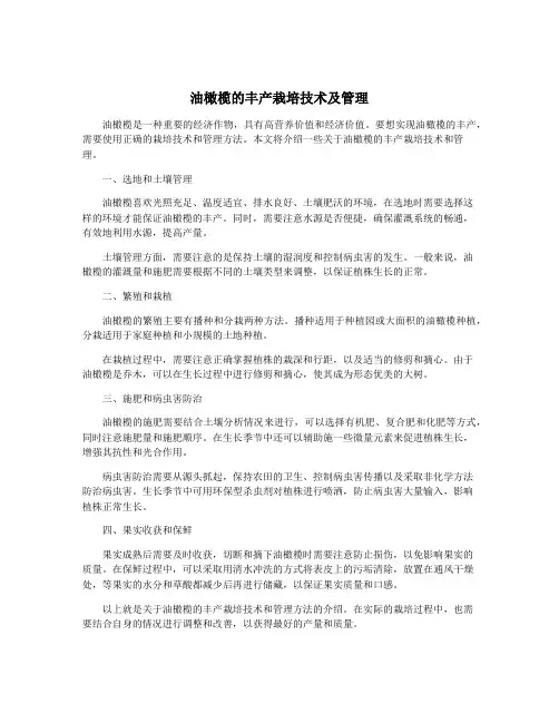 油橄榄的丰产栽培技术及管理