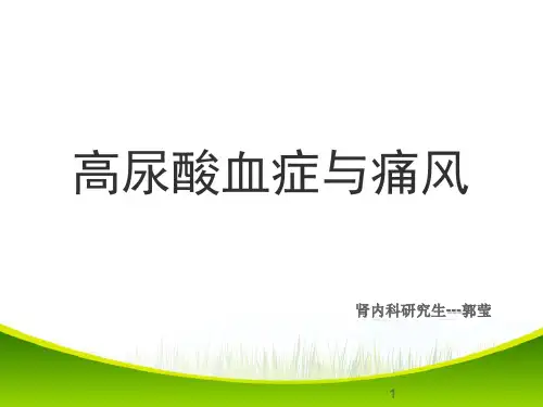 高尿酸血症与痛风PPT课件