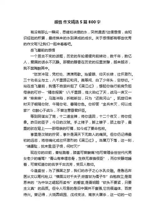 感悟作文精选5篇800字