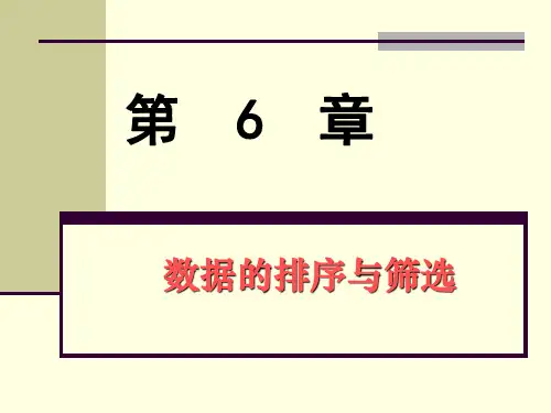 excel办公及商务应用第六章 数据的排序与筛选