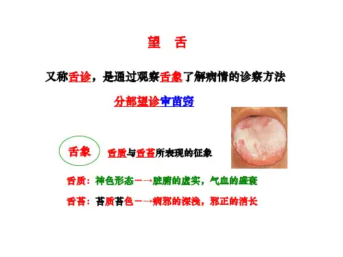 望舌1-- PPT课件