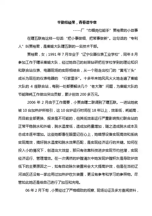 集输：小贾的故事1