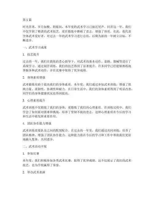 学生版武术年度总结(3篇)