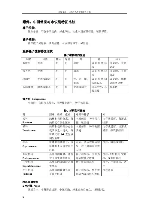 中国常见树木识别特征比较