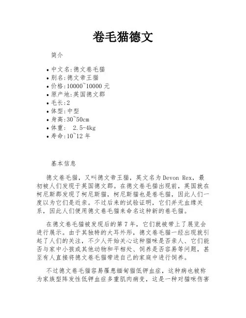 卷毛猫德文