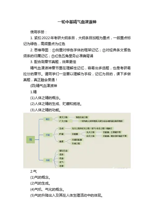 一轮中基精气血津液神