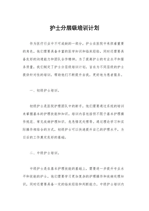 护士分层级培训计划