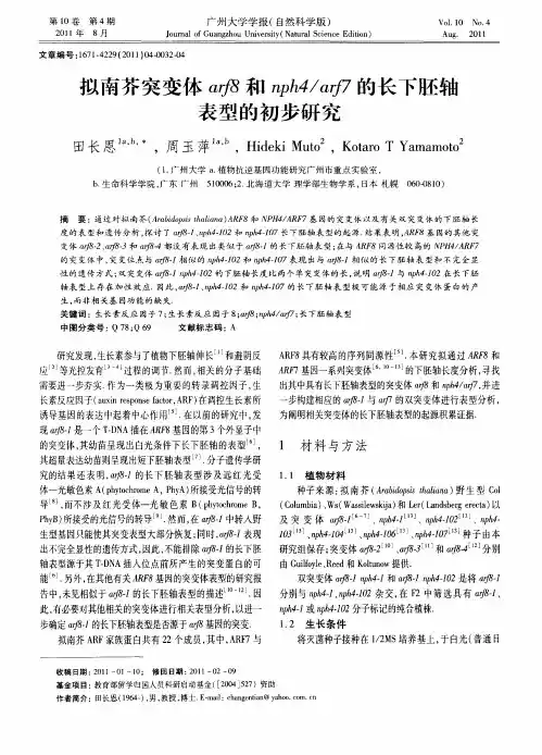 拟南芥突变体arf8和nph4／arf7的长下胚轴表型的初步研究