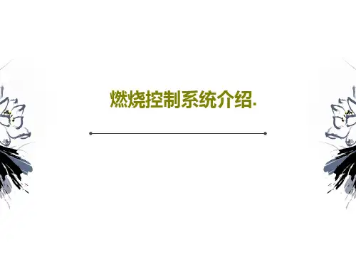 燃烧控制系统介绍.38页文档
