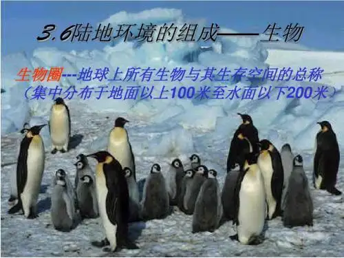【高中地理】陆地环境的组成——生物ppt