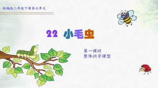 《小毛虫》课件教学(共17张PPT)