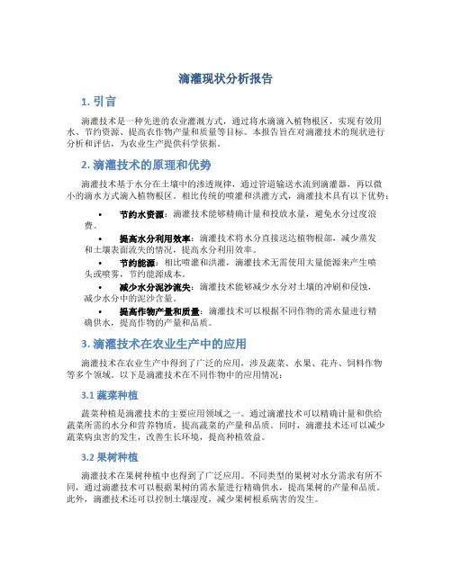 滴灌现状分析报告