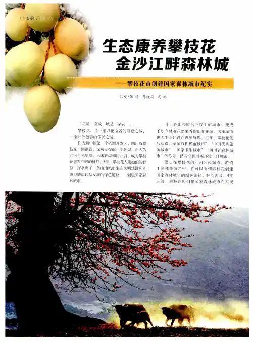 生态康养攀枝花金沙江畔森林城——攀枝花市创建国家森林城市纪实