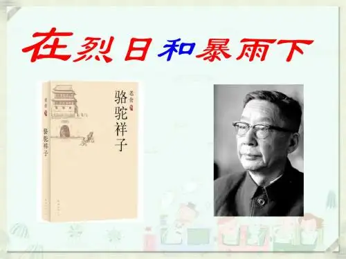 《在烈日和暴雨下》PPT课件4