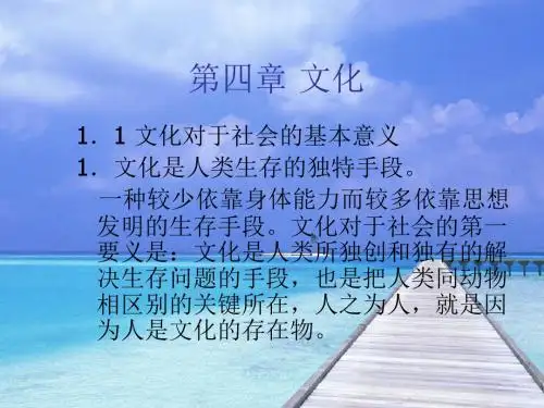 第四章 文化