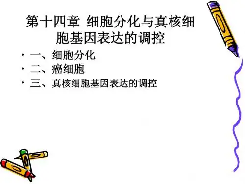 第十四章 细胞分化与基因表达的调控