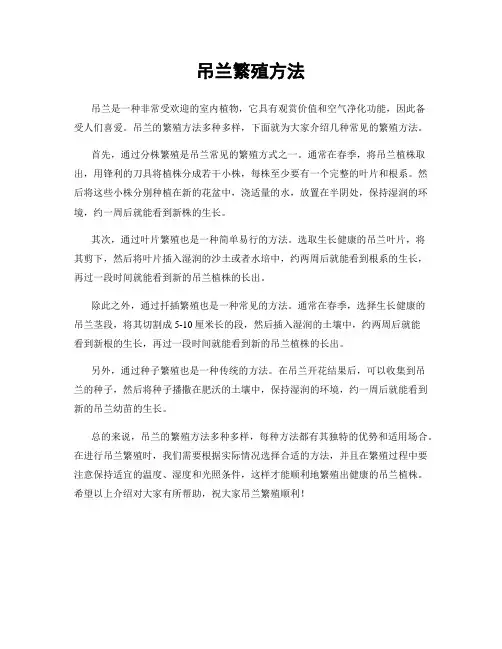 吊兰繁殖方法
