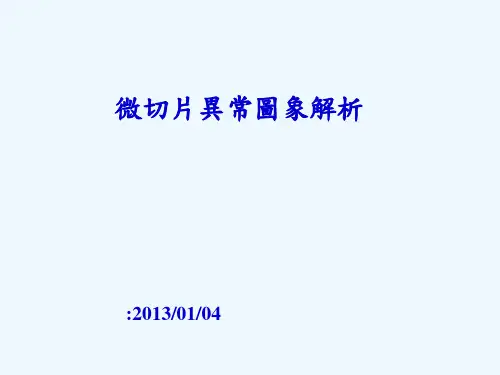 pcb孔铜微切片手册