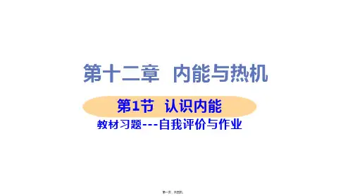 新沪粤版九年级上册初中物理 认识内能 教材习题课件