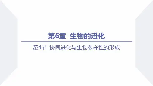 协同进化与生物多样性的形成(课件)-高一生物(人教版2019必修2)